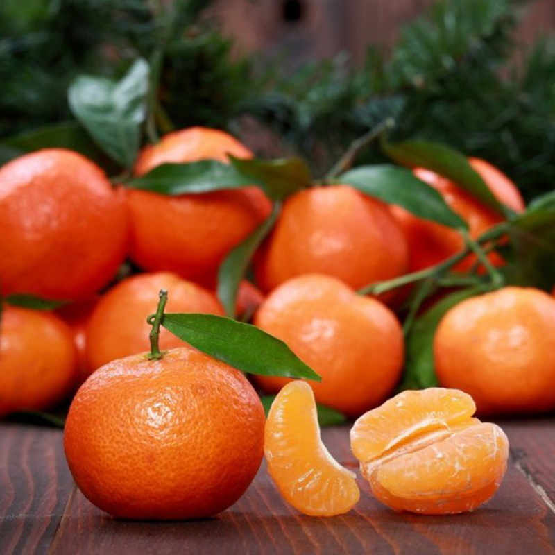 Купити саджанці мандарин