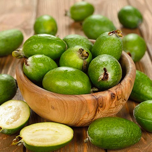 Купити саджанці фейхоа