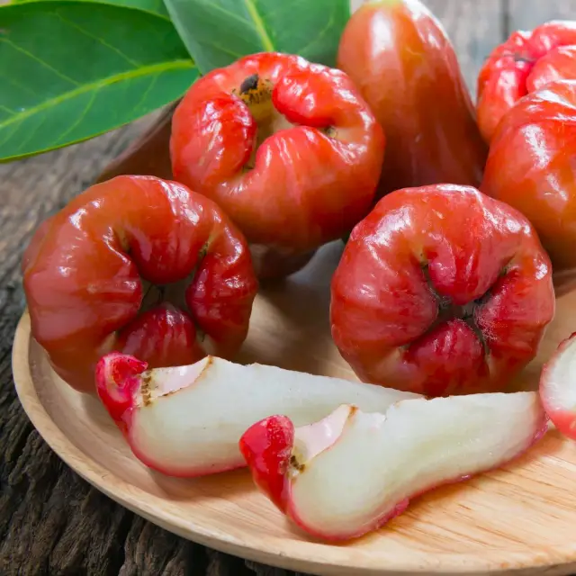 Купити саджанці Джамбози