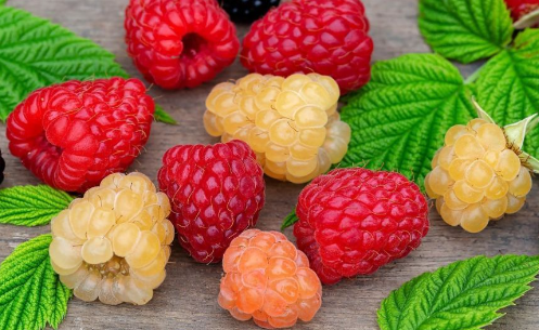 Купить микс малины