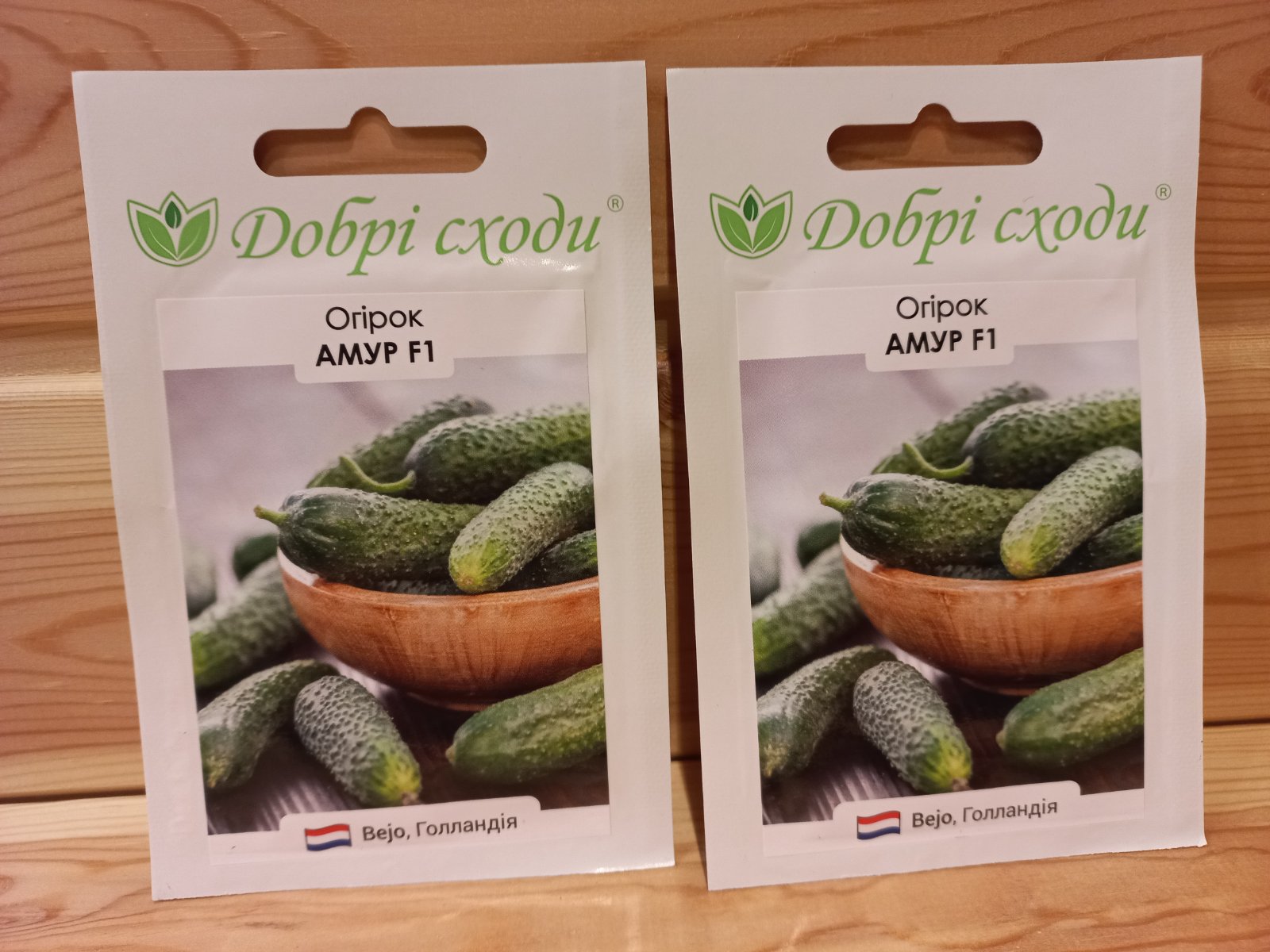 купить семена огурцов из голландии