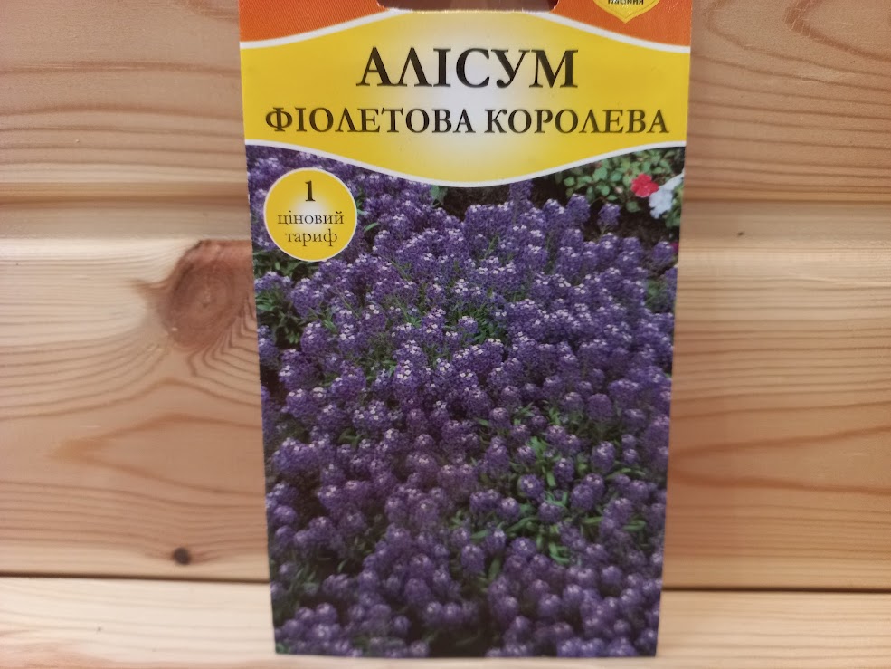 Семена Алисум "Фиолетовая Королева" (Богатый урожай)