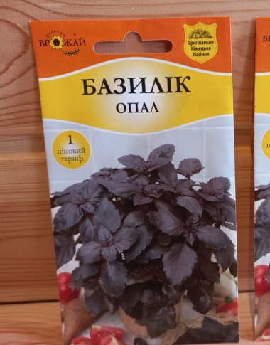 Насінні Базиліку "Опал" (Багатий врожай)