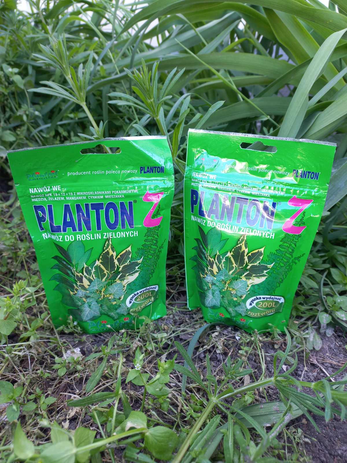 Купити добриво "PLANTON Z" для декоритивно - листяних рослин