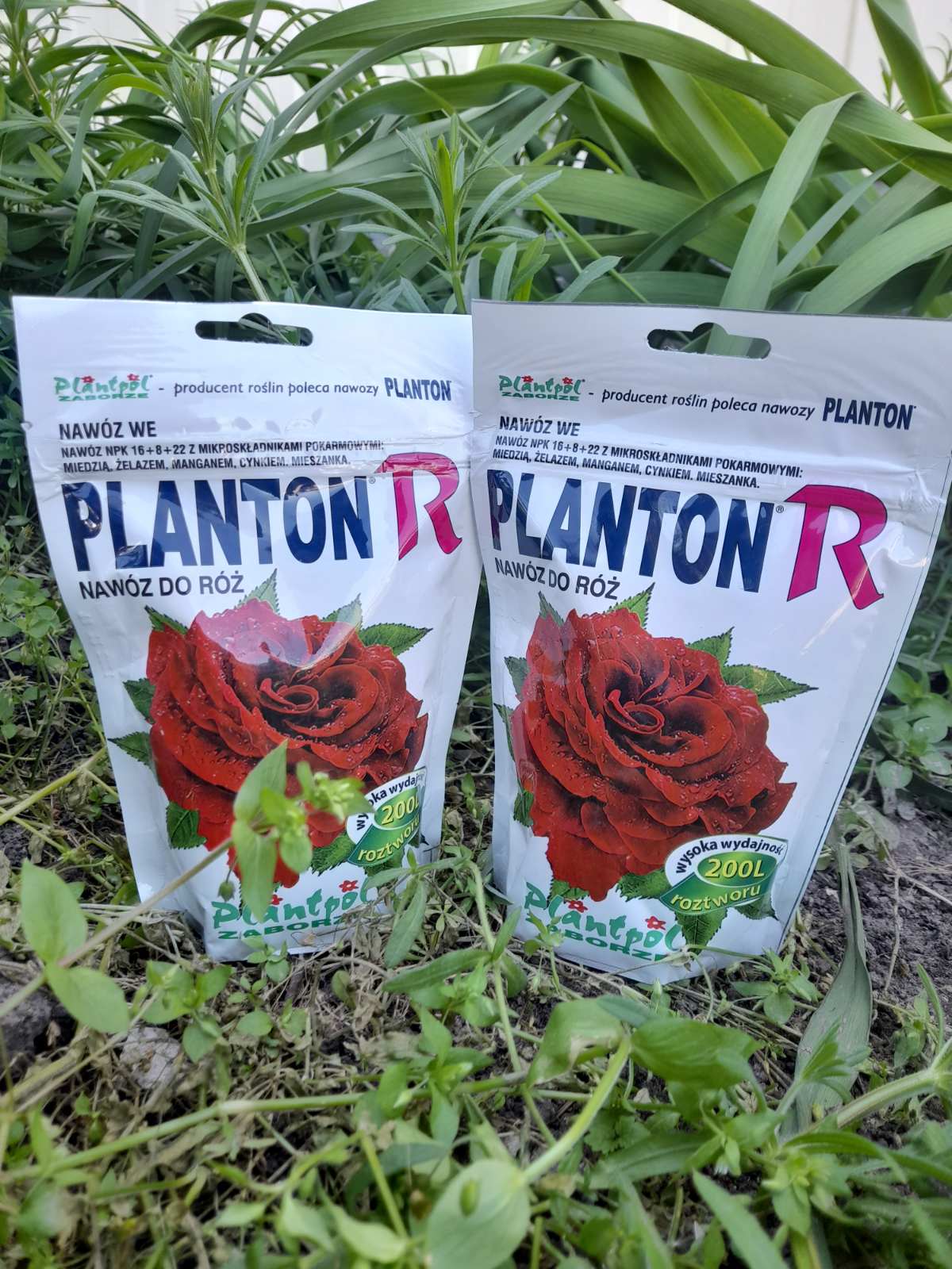 Купити добриво "PLANTON R" для троянд