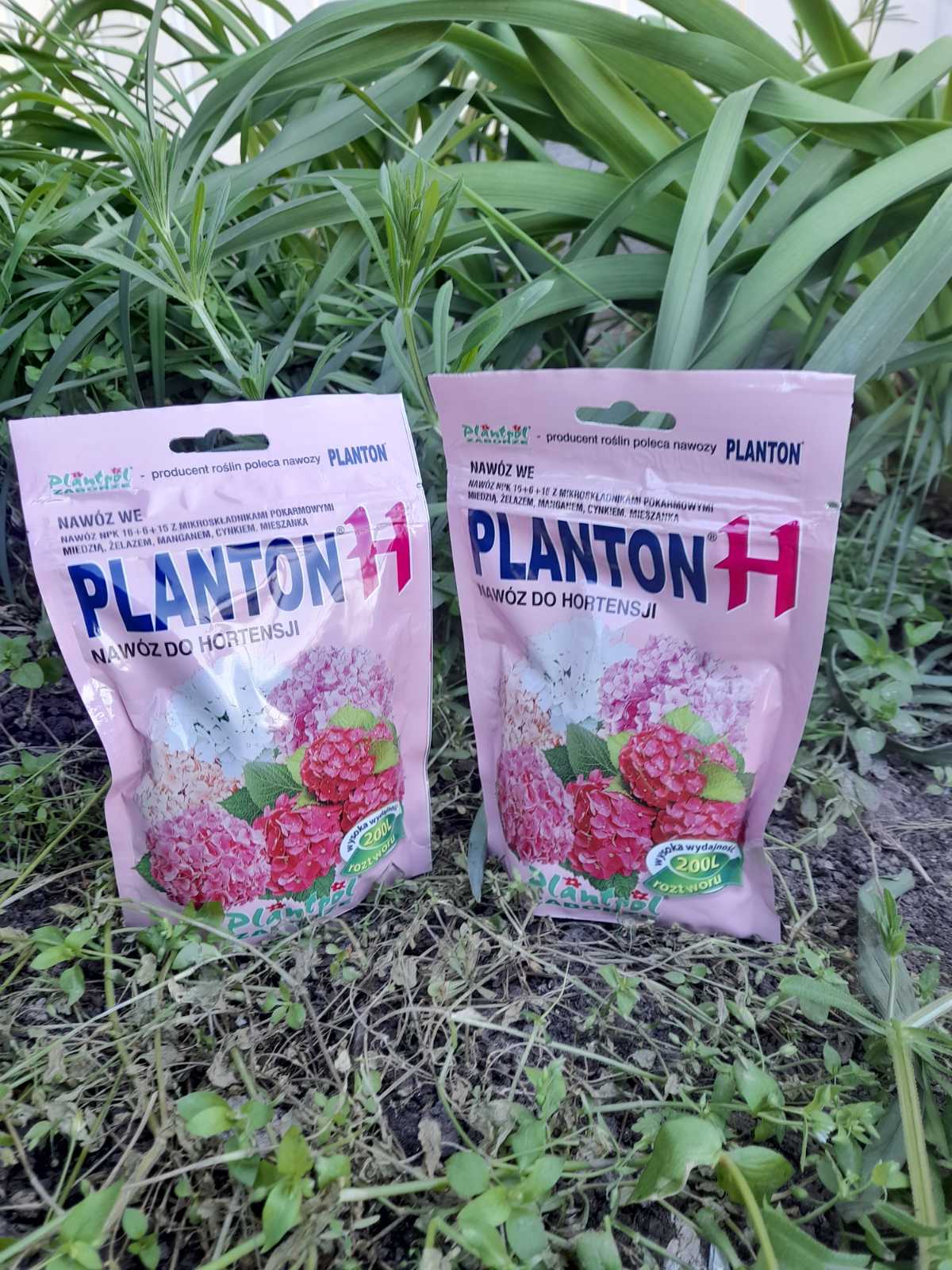 Купити добриво "PLANTON H" для гортензій 