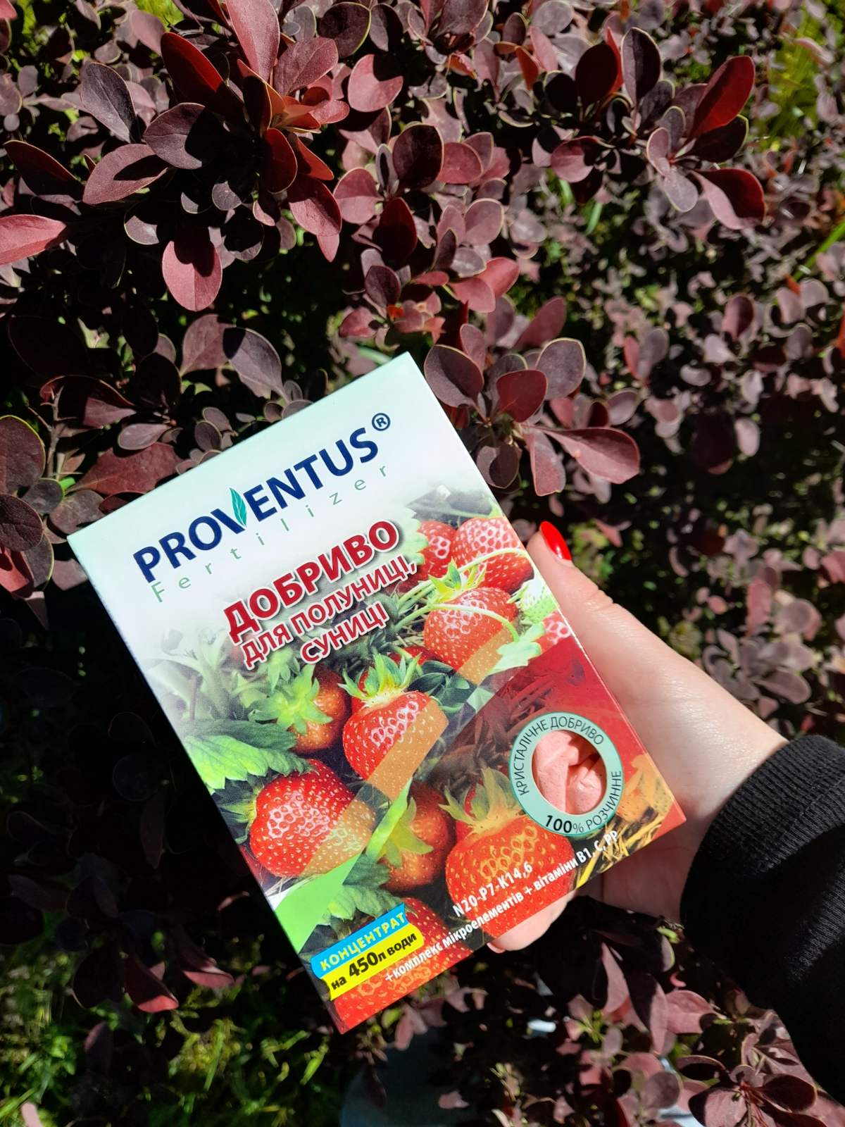 Купити Proventus/Провентус добриво для суниці,полуниці
