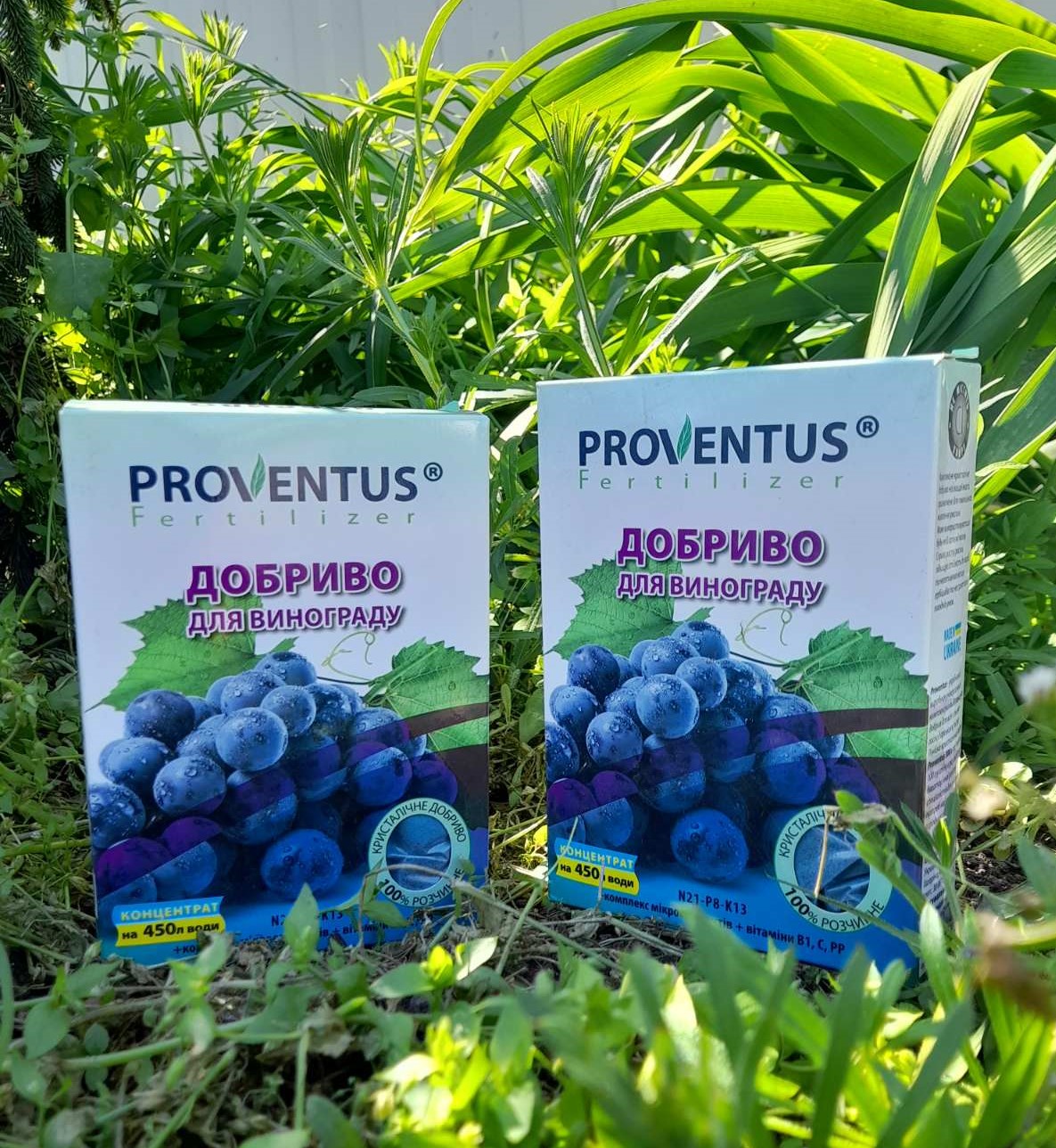 Купити Proventus/Провентус добриво для винограду