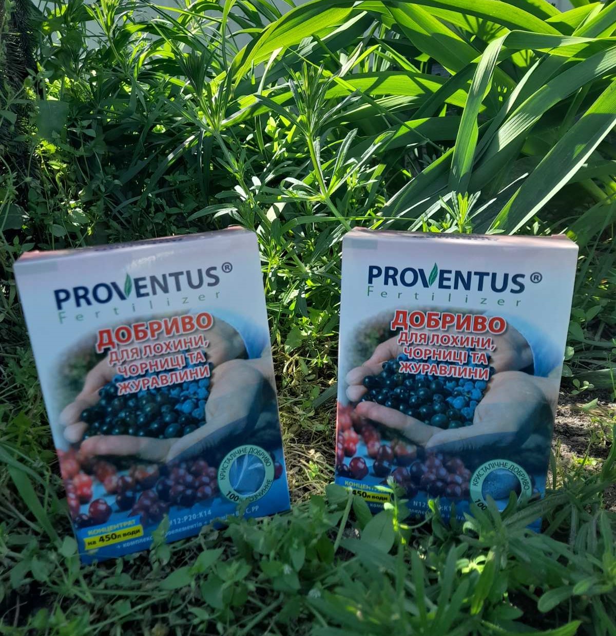 Купити Proventus/Провентус добриво для лохини чорниці та журавлини