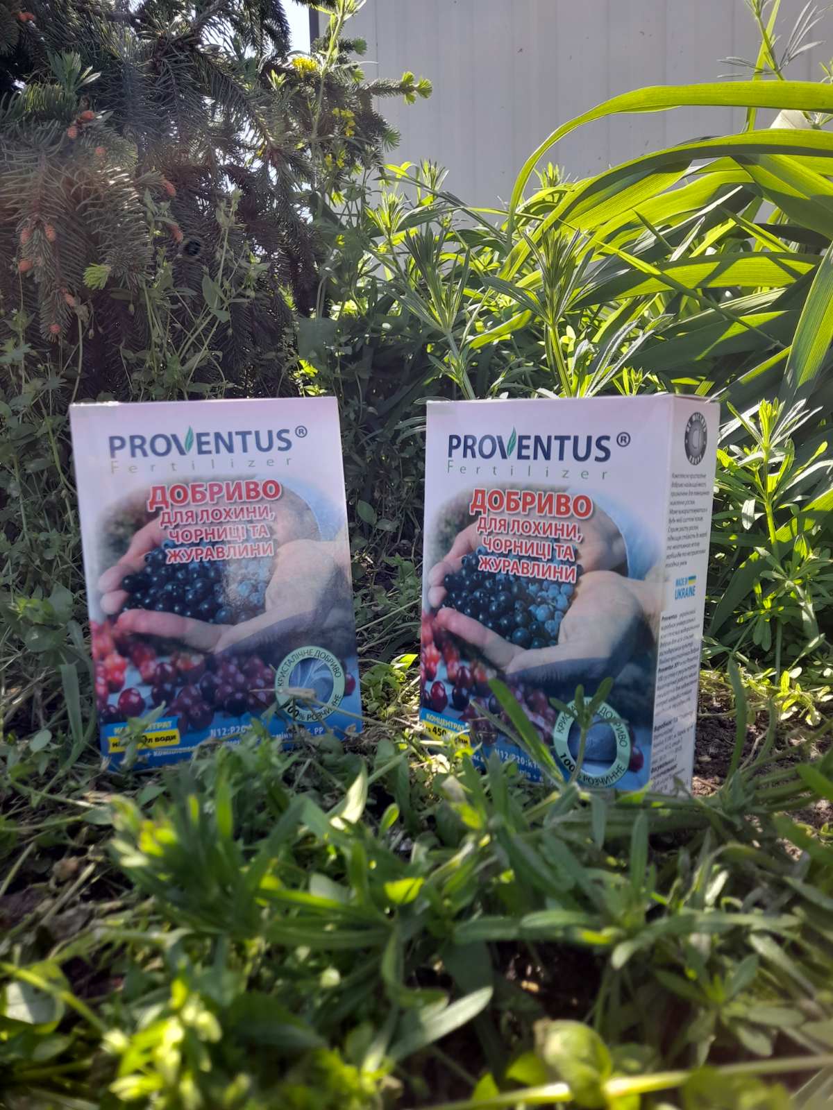 Купити Proventus/Провентус добриво для лохини чорниці та журавлини самовивозом