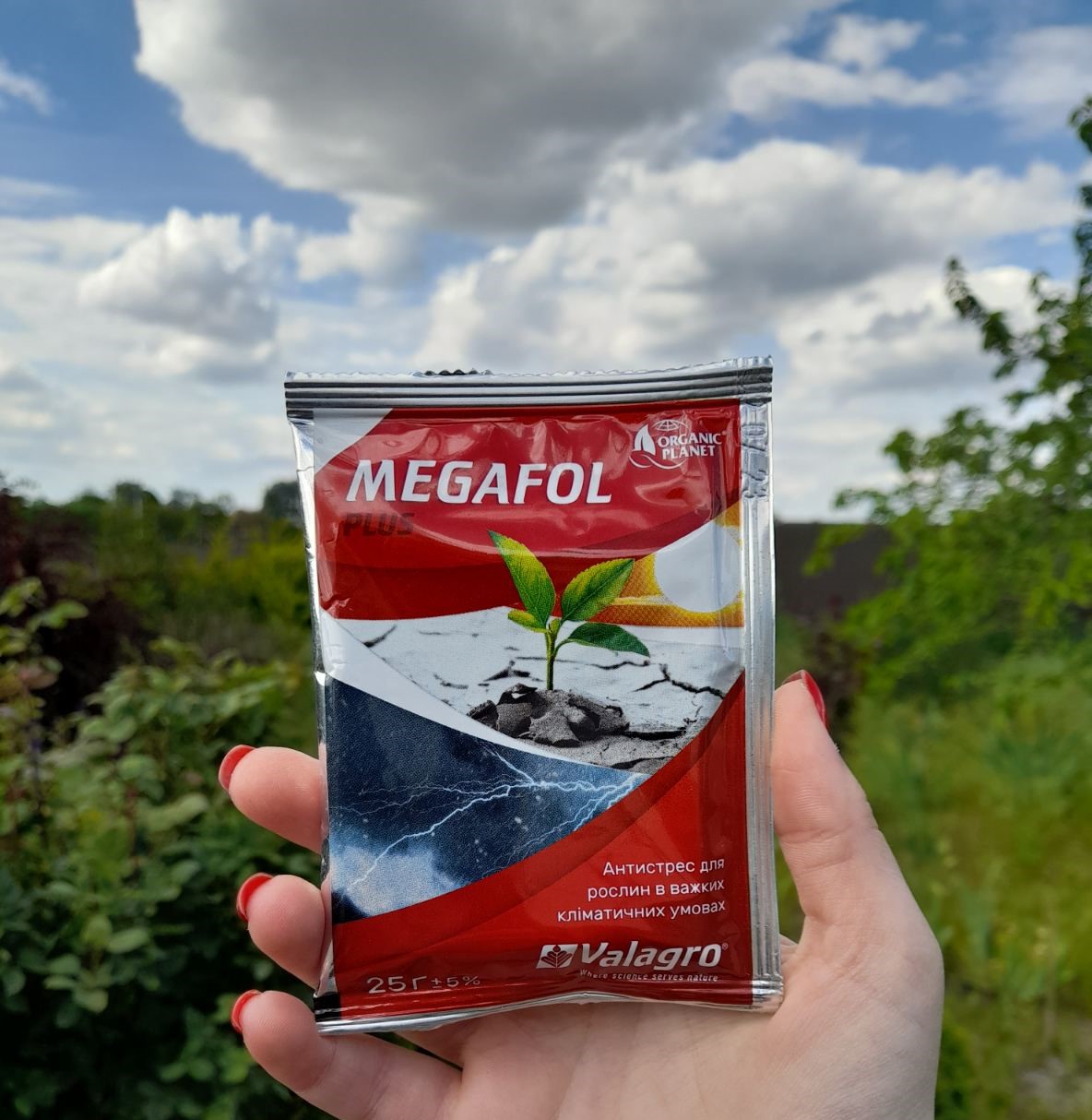 Купить Мегафол + самовывозом