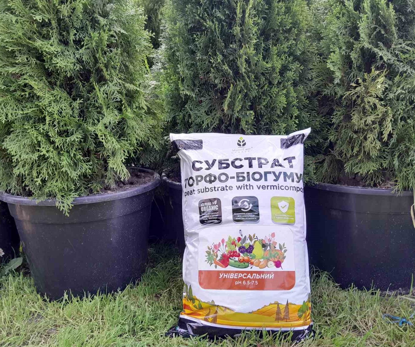 Купити субстрат універсальний