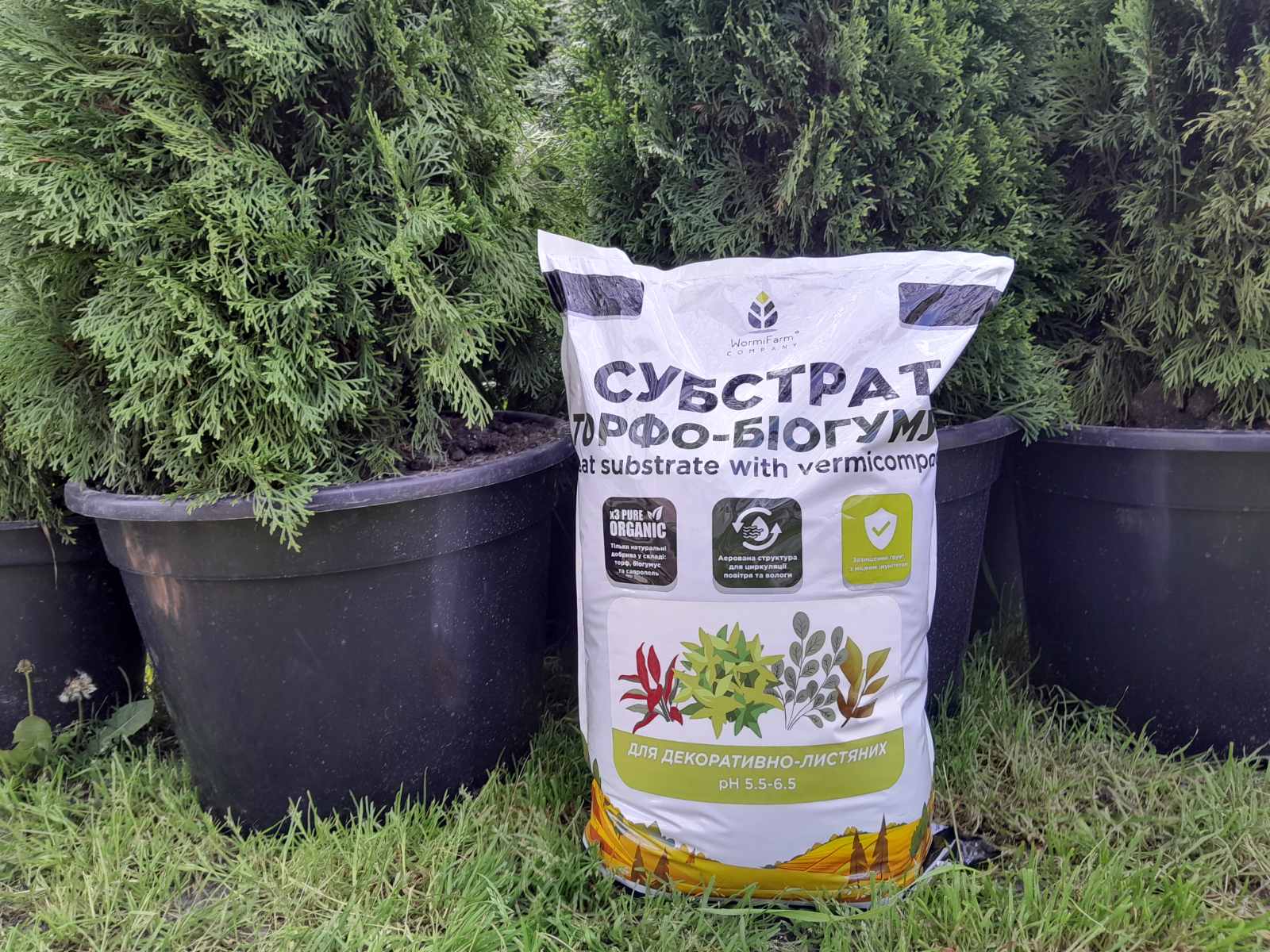 Купить субстрат для декоративно-лиственных "WarmiFarm"