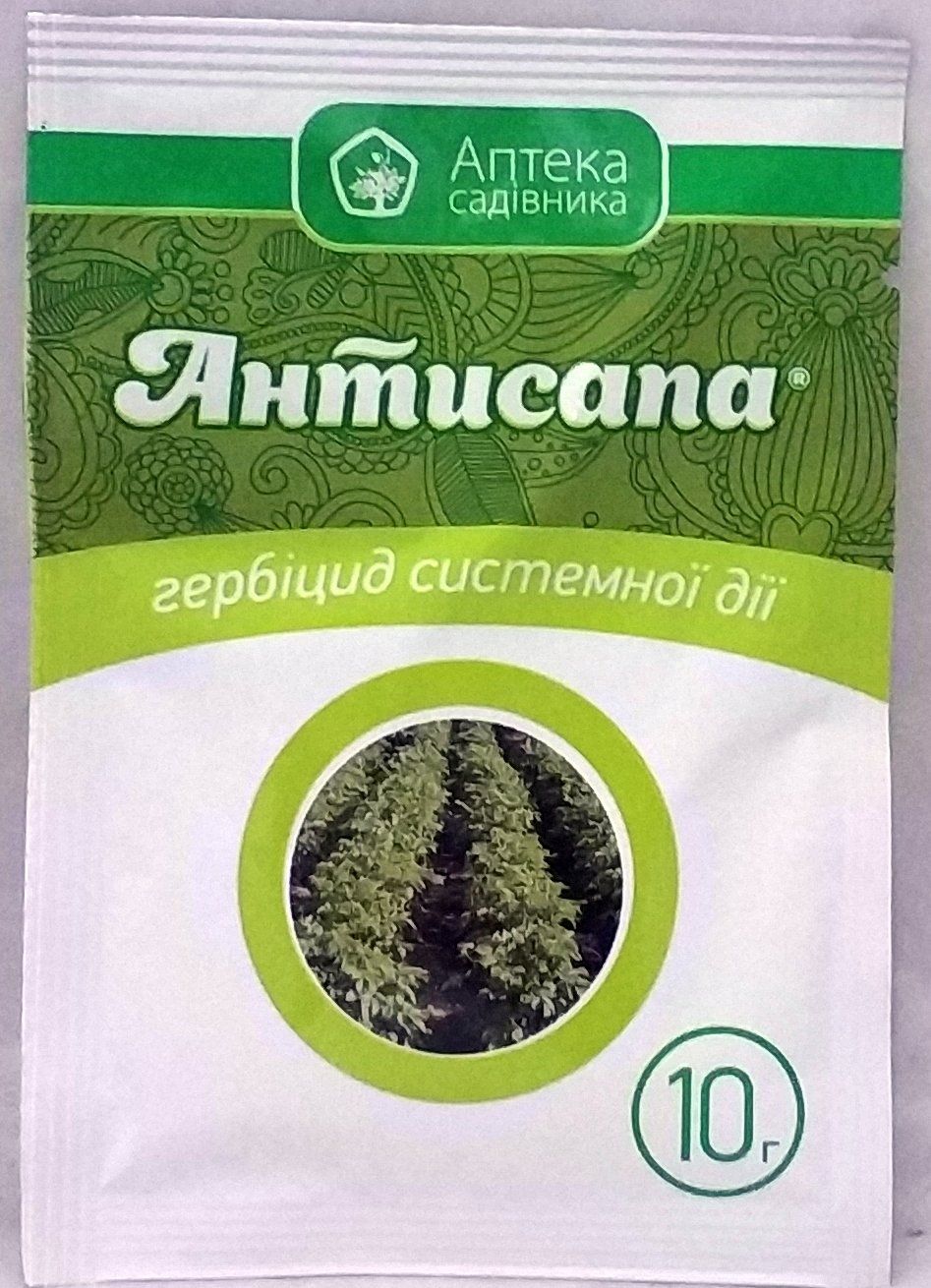 Купить Антисапу