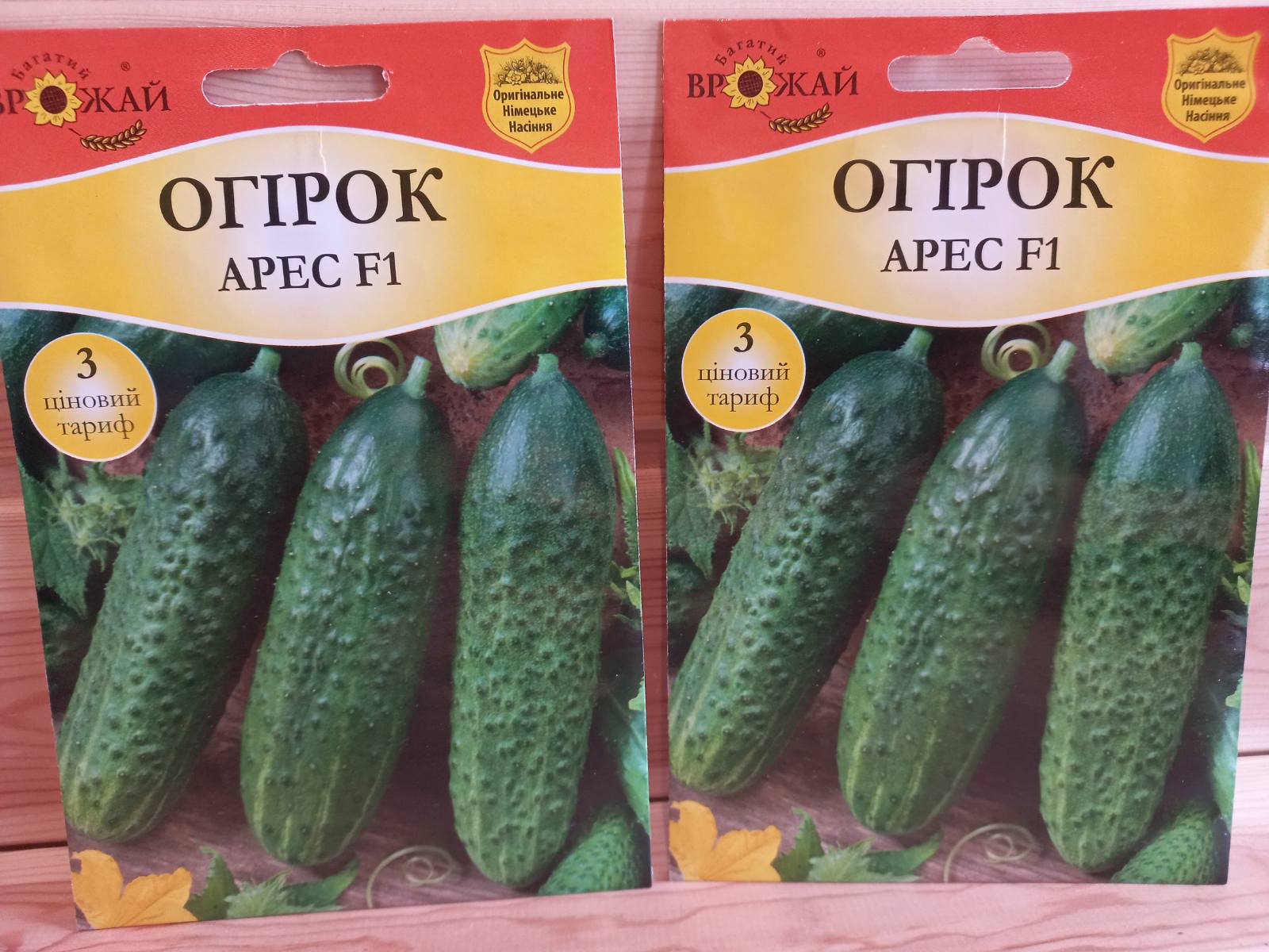 купить семена огурцов из голландии