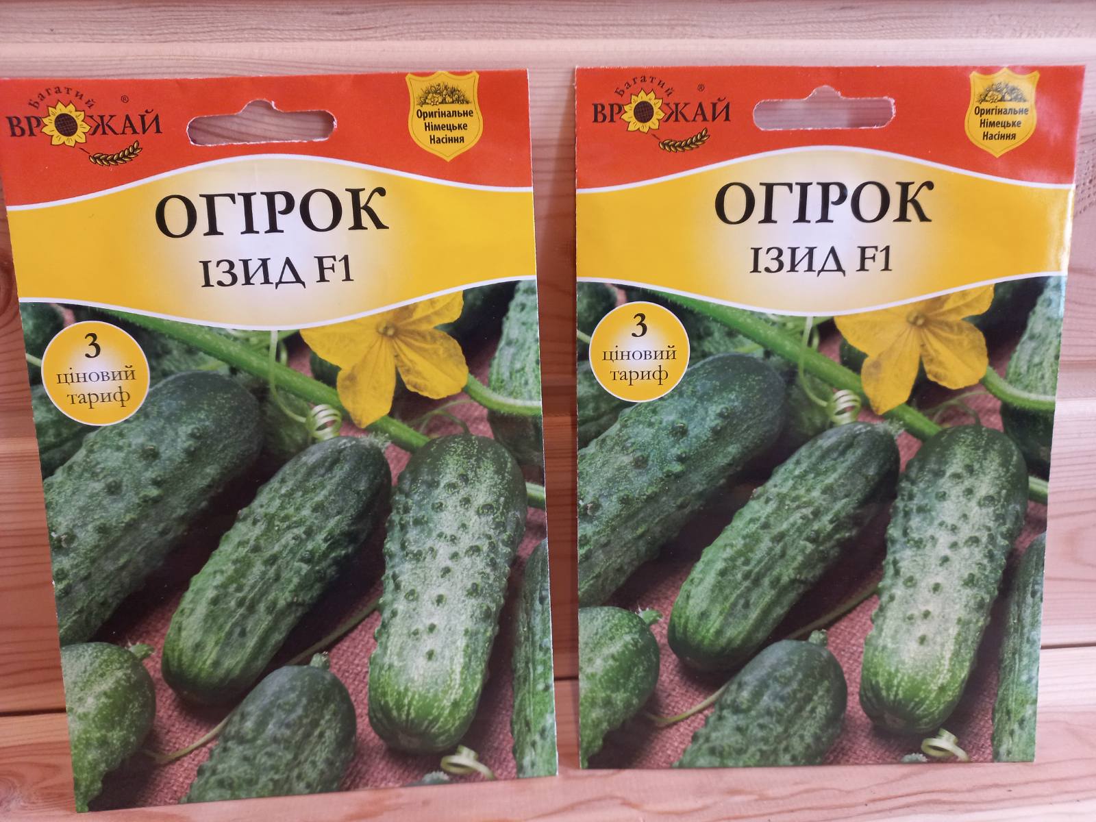 купить семена огурцов из голландии
