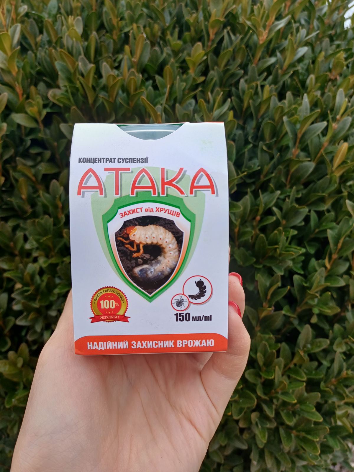 Купити Атака Хрущ 