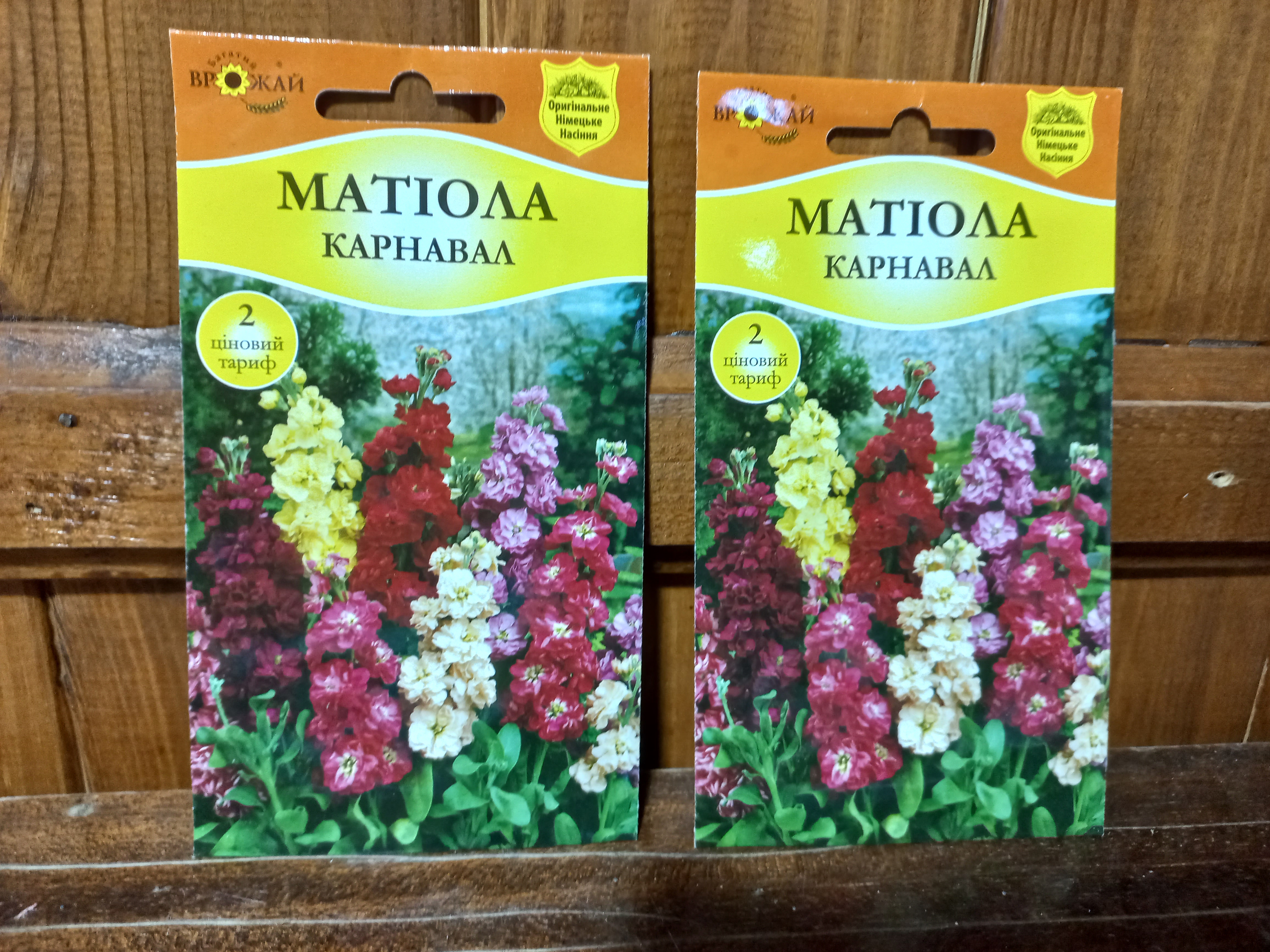 Купити насіння матіоли