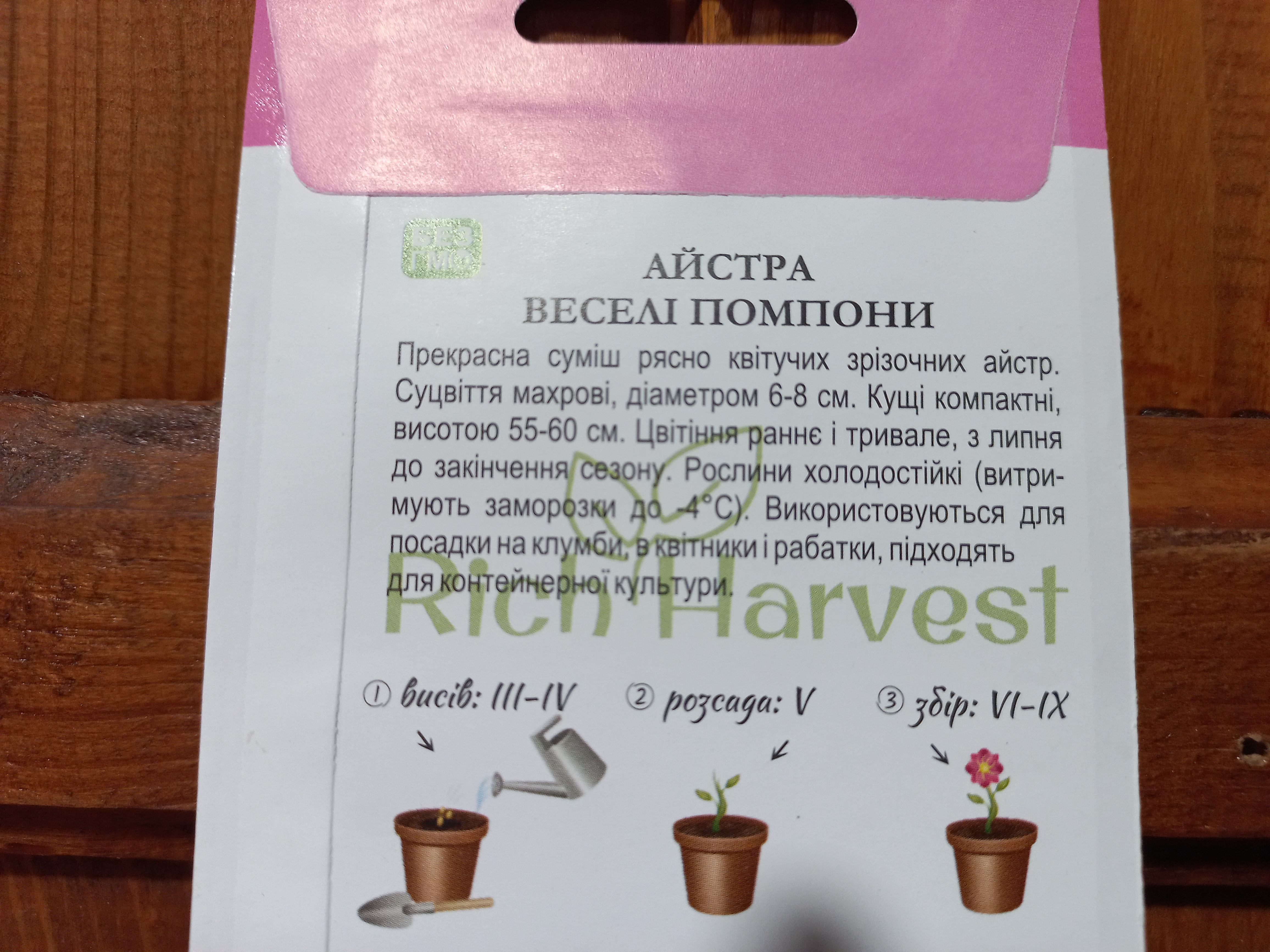 купить семена цветов астры