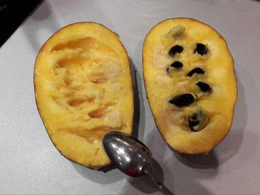 Купить Азимину "Mango" (Манго) 