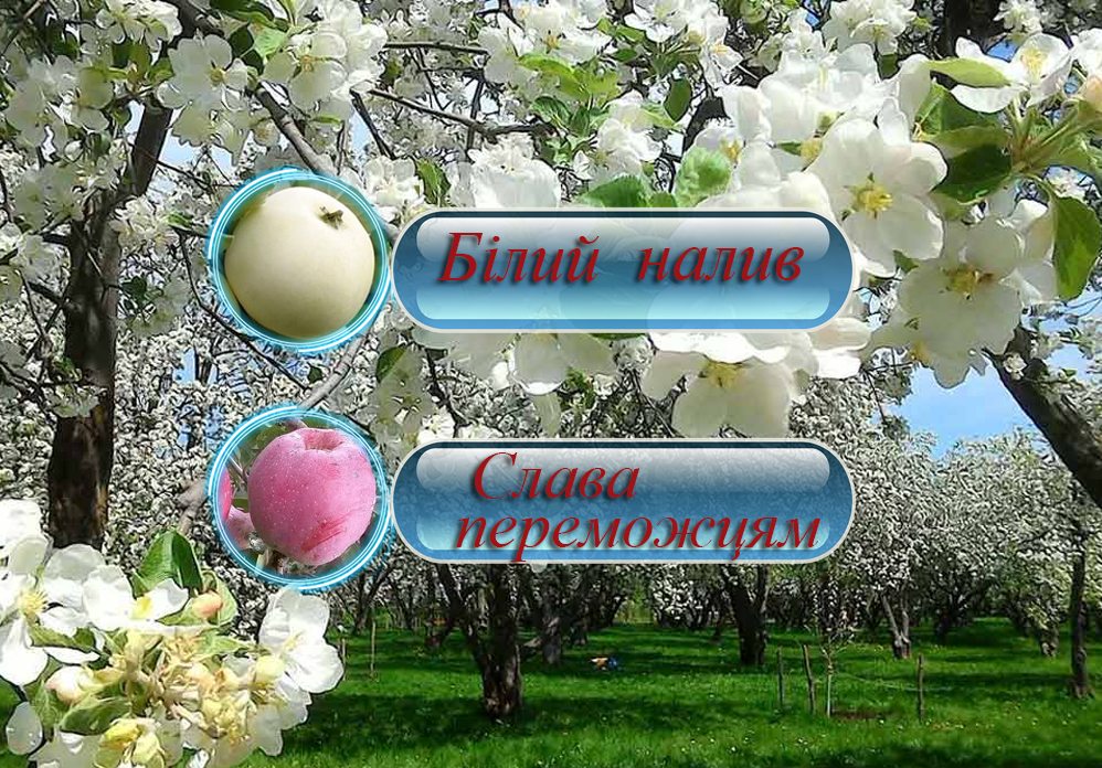 Купити саджанці дерево-саду яблуні  "Білий Налив" + "Слава Переможцям"