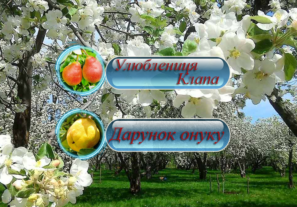 Купить саженцы дерево-сада груши "Улюблениця Клаппа" + айвы "Дарунок Онуку"