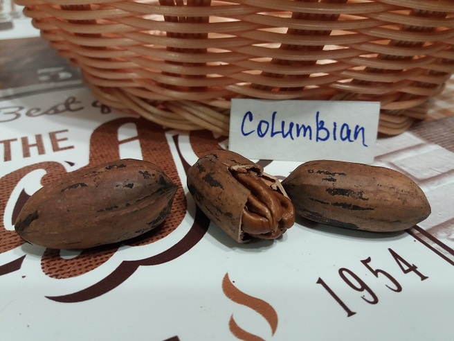 Купити саджанці горіху пекан  «Columbian» (Колумбіан)