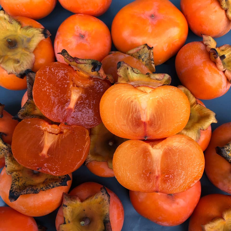 Купить саженцы хурмы Дар Софиевки