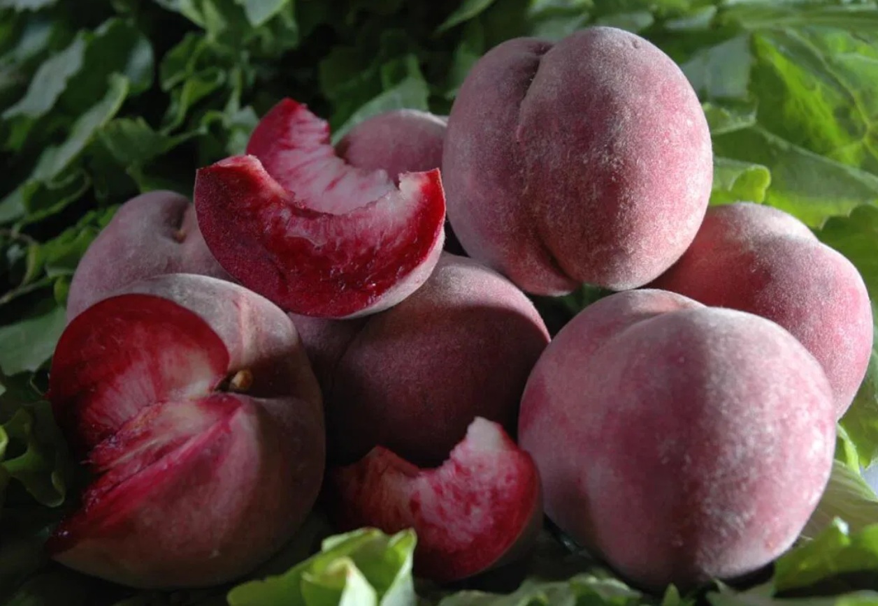 Купить Персик "Блек Бой"