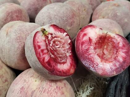 Купить Персик "Ротер Вайнбергпфирсич"