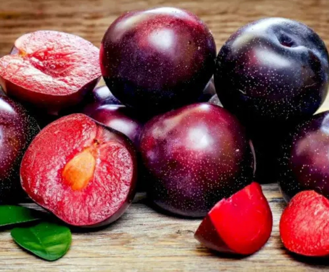 Купити Гібрид сливи ”Шарафуга”