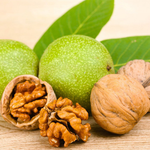 Купить Грецкий орех "Буковинский"