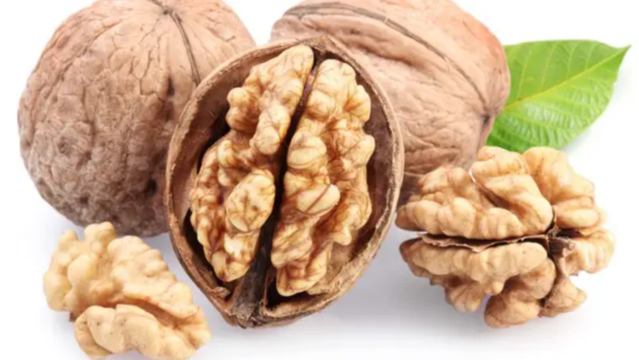 Купити Грецький (волоський) горіх "Кочерженко"