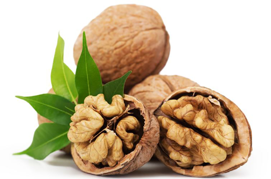 Купити Грецький (волоський) горіх "Скіноський" (щеплений)