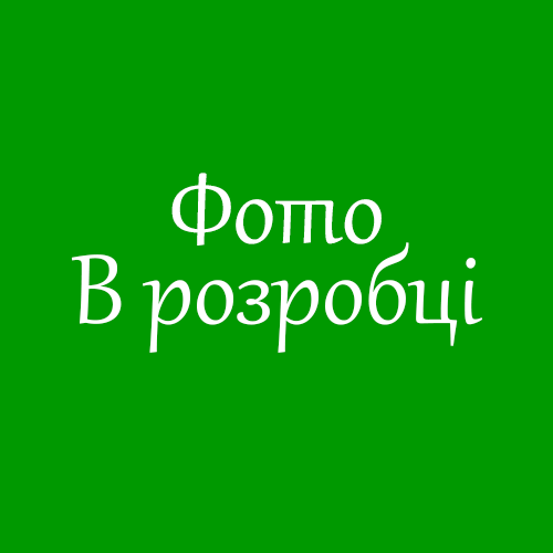 Саджанці