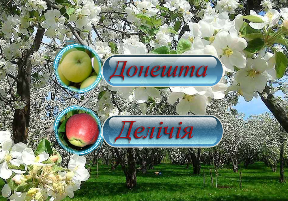 Купить саженцы дерево-сада яблони "Донешта" + "Деличи"