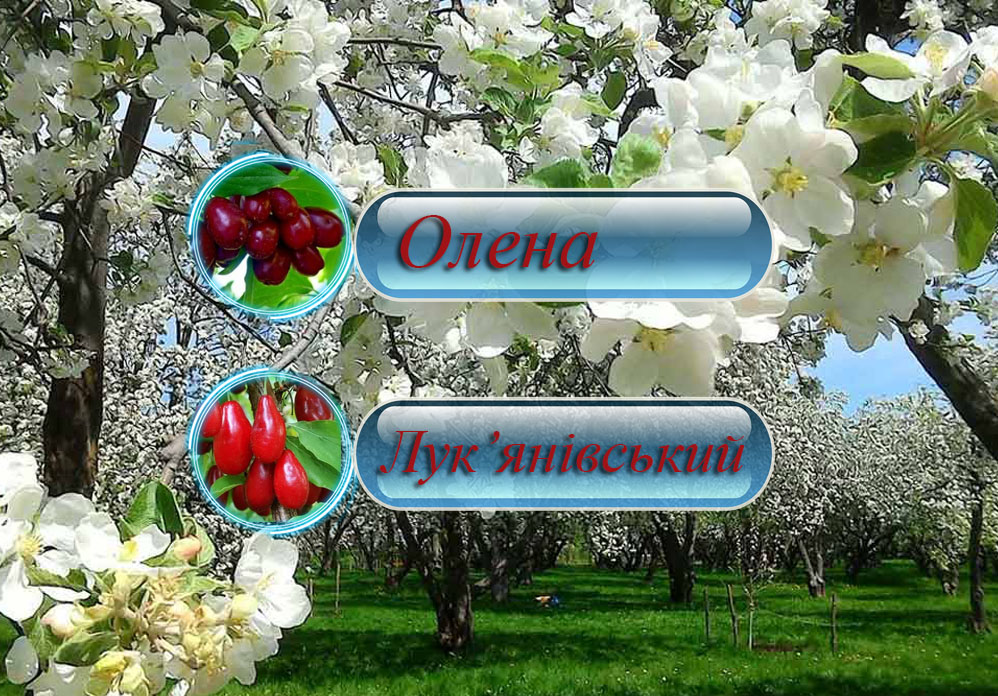 Саженцы